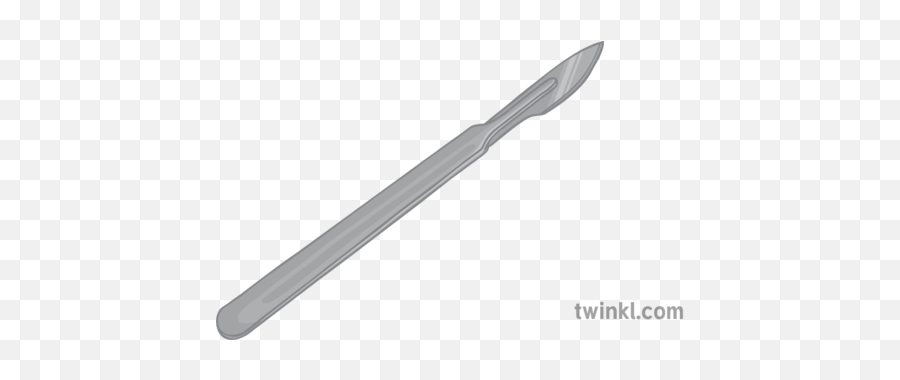 Scalpel 2 Illustration - Twinkl Utility Knife Png,Scalpel Png