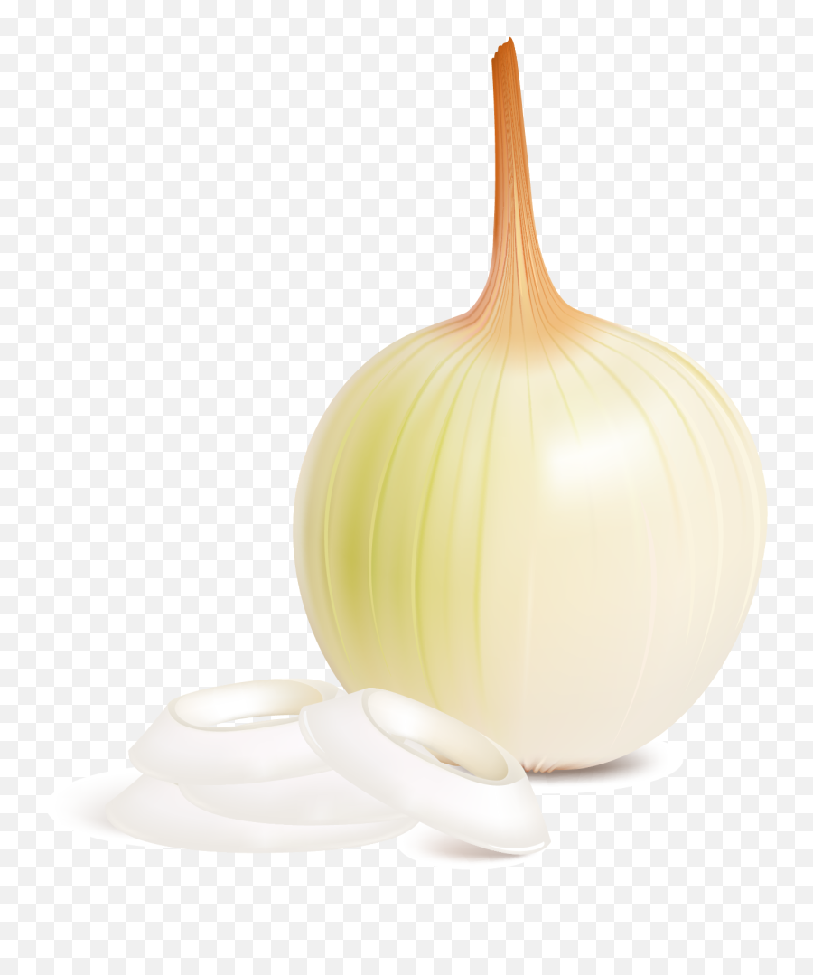 Free Png Onion - Konfest,Onion Png