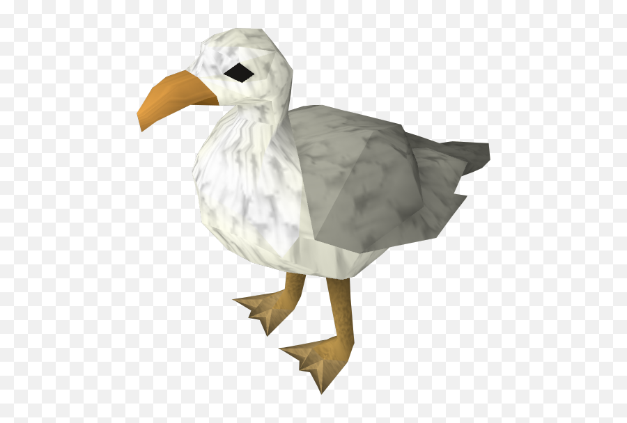 Seagull - Seagull Osrs Png,Seagull Png