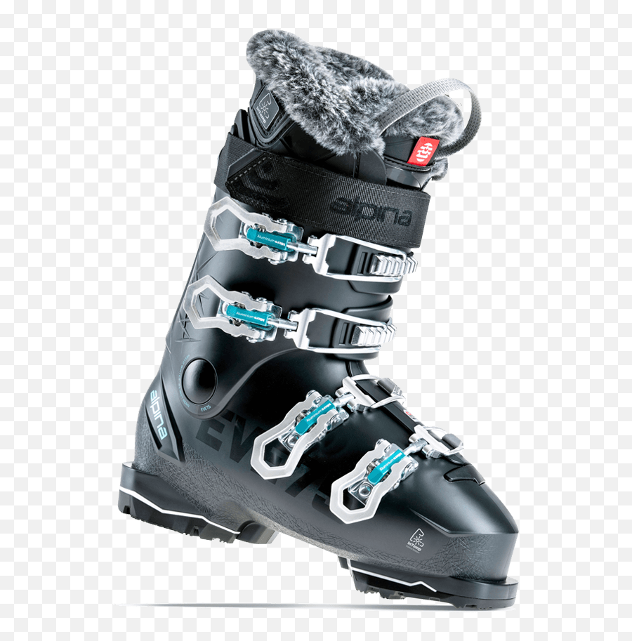 Alpina Sports - Alpina Eve 65 Ski Boots Png,Icon Pursuit Stealth Gloves