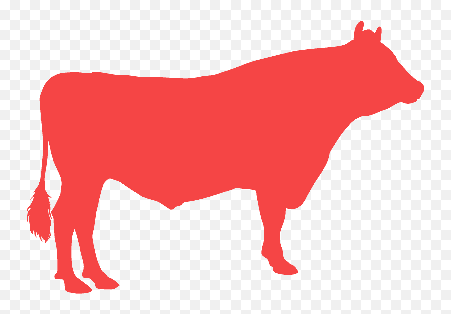 Clip Art - Png Download Full Size Clipart 5765962 Transparent Red Cow Png,Cow Icon Png