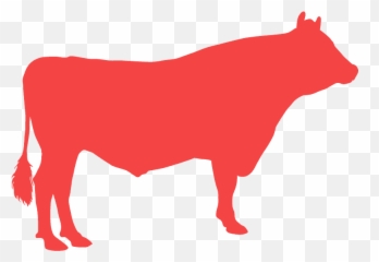 Clip Art - Png Download Full Size Clipart 5765962 Transparent Red Cow Png,Cow Icon Png
