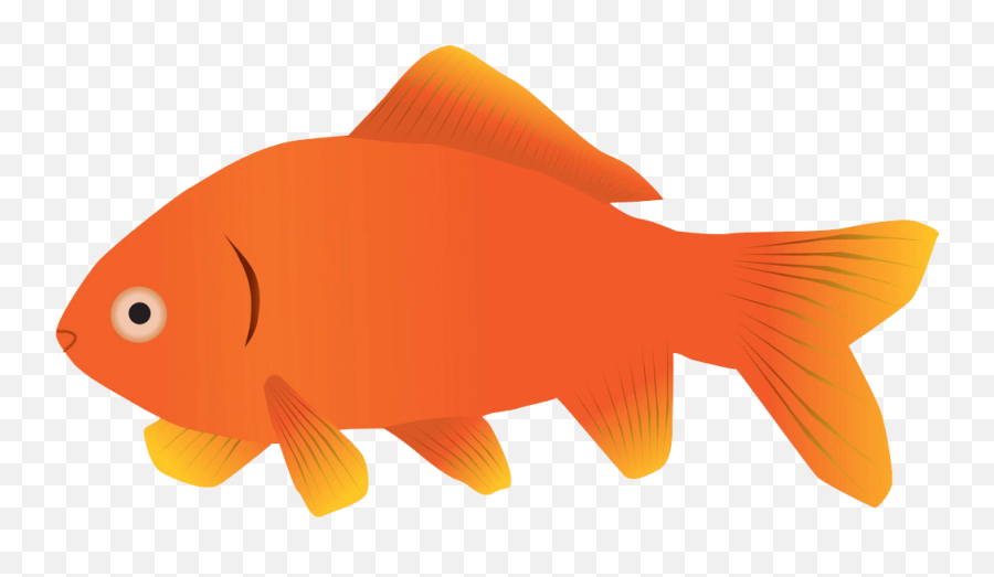 Goldfish Clipart - Clipartworld Simple Goldfish Clipart Png,Goldfish Icon