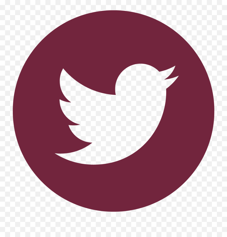 Roosevelt University - Icono De Twitter Gris Png,Show Icon Roosevelt