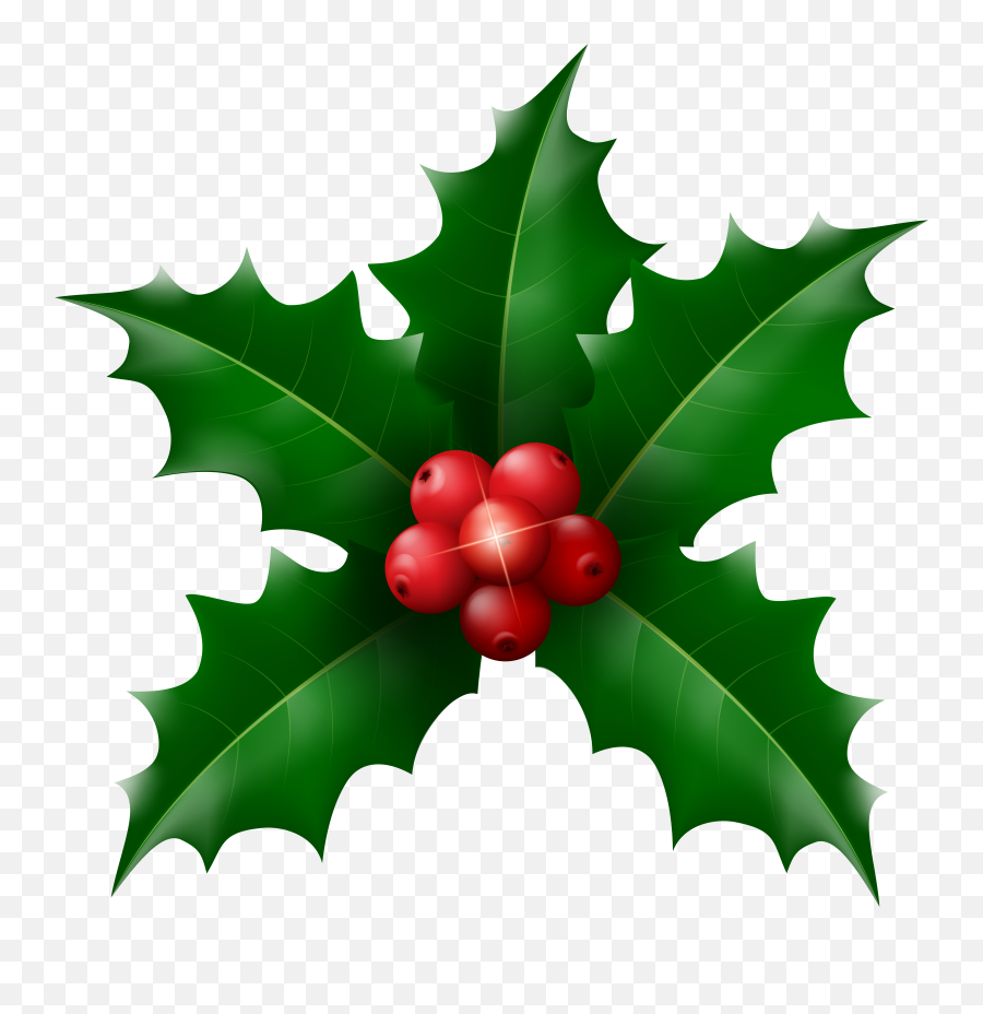 Holly Background Transparent Png