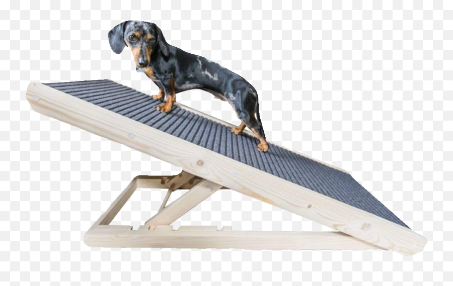 7 Best Dog Ramps For Bed U0026 Couches - Best Doggo Dachshund Dog Ramp For Bed Png,Ramp Png