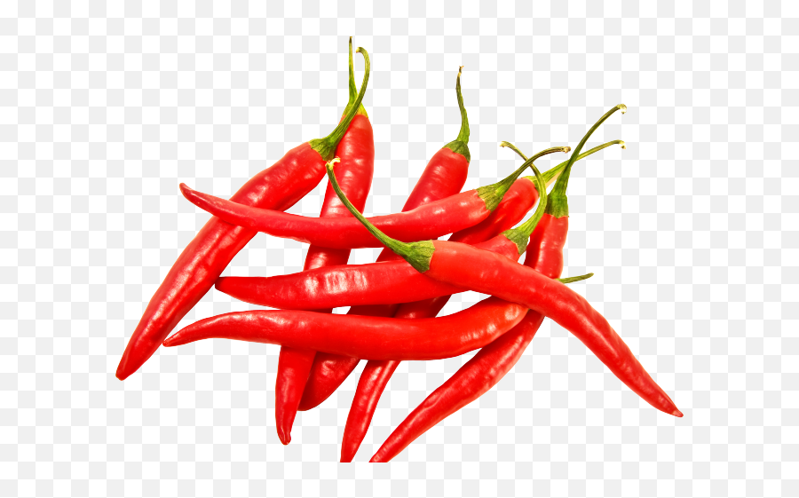 Chile Clipart Habanero Pepper - Chili Pepper Png,Chile Png