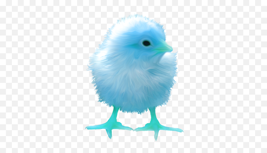 Chick Coloures - Transparent Baby Chick Png,Chick Png