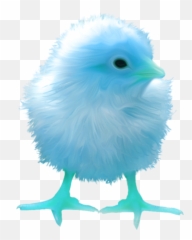 Chick Coloures - Transparent Baby Chick Png,Chick Png