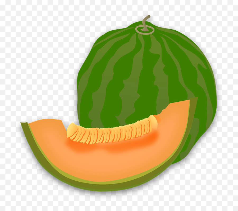 Yummy Melon Clip Art - Png Clipart Melon Melon Png Cartoon,Watermelon Png Clipart