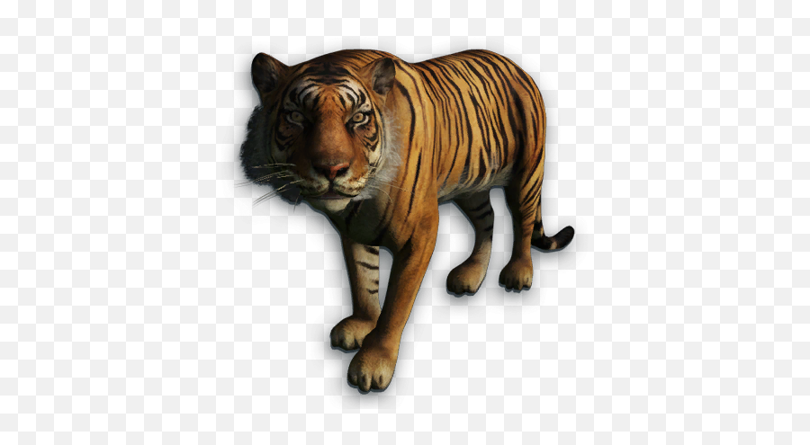 Download Far Cry 4 Tiger Png Image With No Background - Sumatran Tiger Far Cry 3,Tiger Png