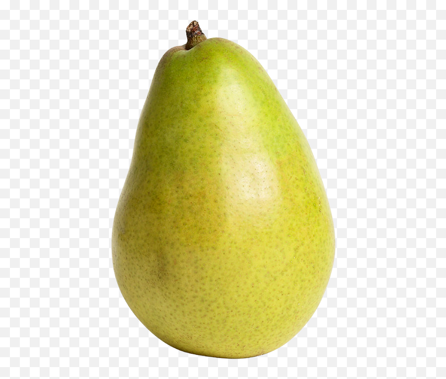 Pear Transparent Png Clipart Free - Pear High Resolution,Pear Png