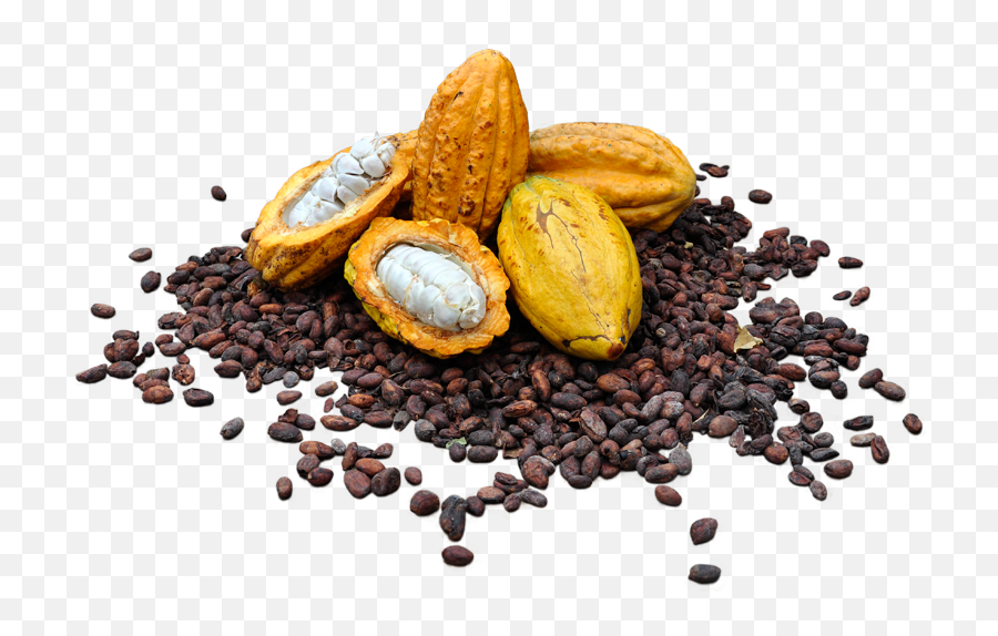Cacaos Download Transparent Png Image - Cacao Png,Cacao Png