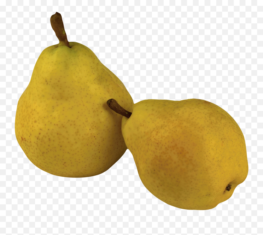 Pear Png Images Free Download - Pears Png,Pears Png