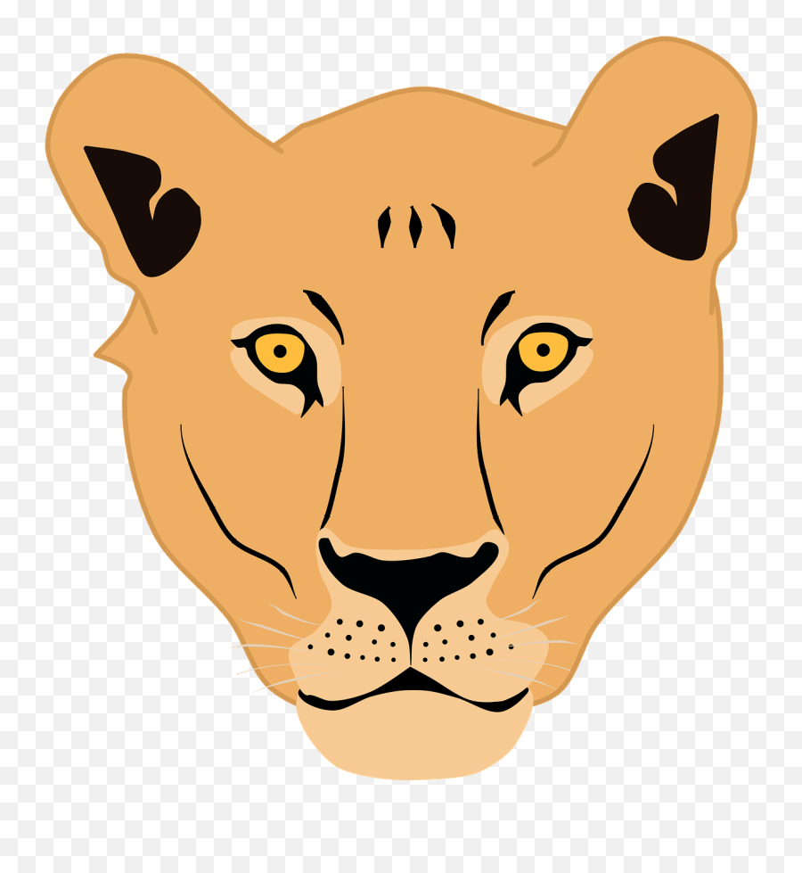 Lioness Face Lion - Clip Art Png,Lion Face Png