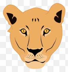Lioness Face - Clip Art png