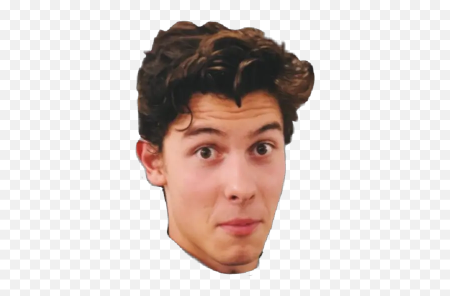 Shawn Mendes Stickers For Whatsapp - Tatuaje De Shawn Mendes En La Mano Png,Shawn Mendes Png