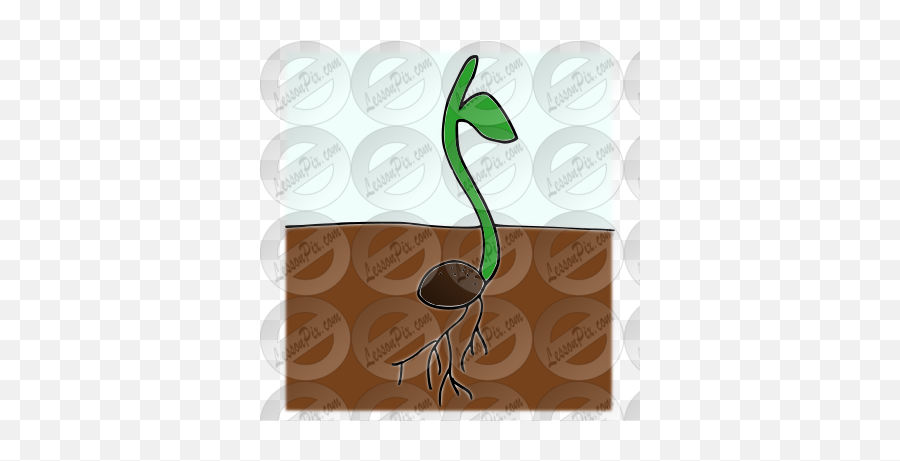 Sprout Picture For Classroom Therapy Use - Great Sprout Illustration Png,Sprout Png