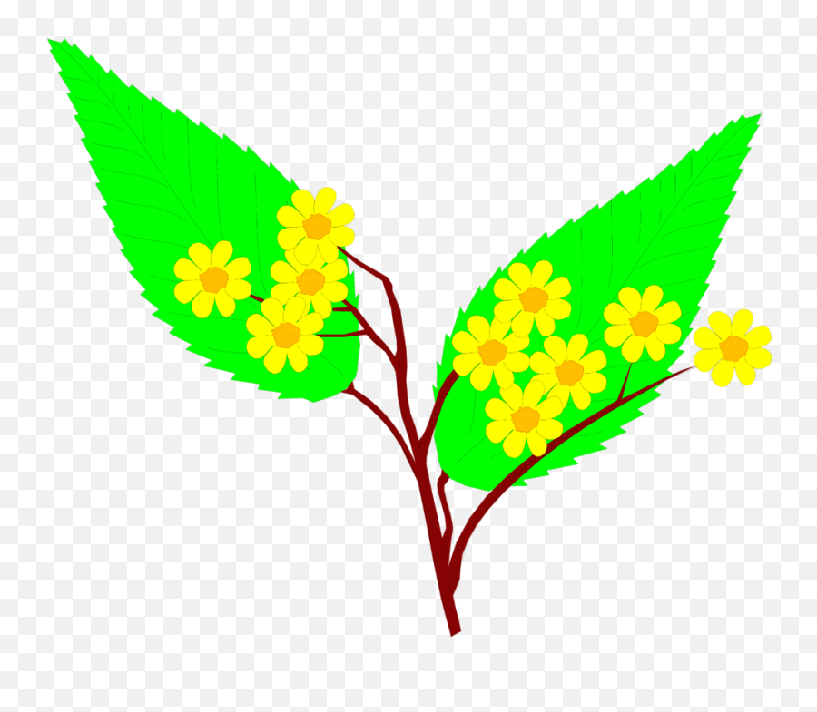 Free Green Flowers Png Download Clip Art - Yellow Green Flowers Clipart,Green Flowers Png