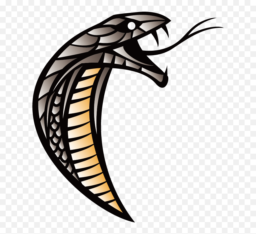 Snakehead Clip Art - Snake Png Download 772934 Free Snake Clip Art Logo,Snake Head Png
