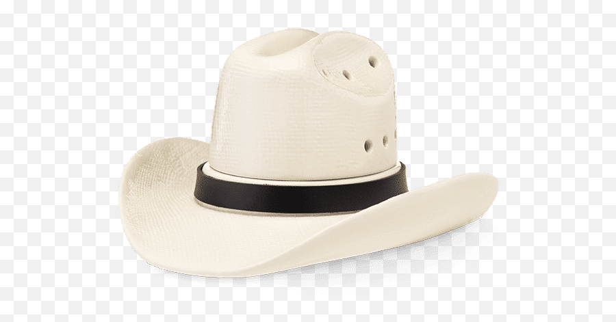 Country Born Cowboy Hat Scentsy Warmer - Scentsy Cowboy Hat Warmer Png,Cowgirl Hat Png