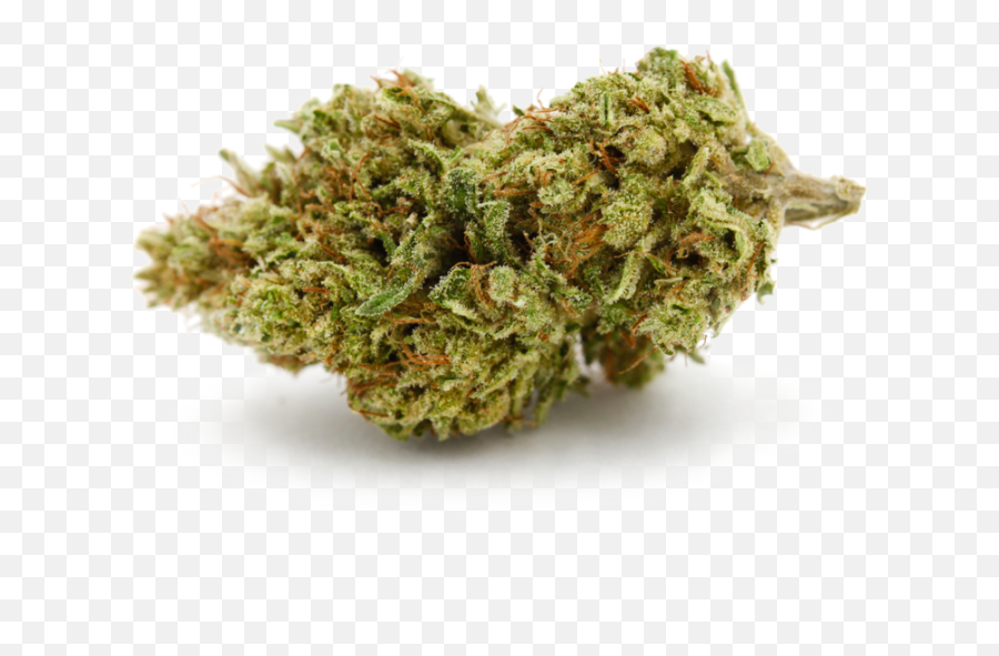 Download Yeti - Single Cannabis Shop Full Size Png Image Portable Network Graphics,Weed Nugget Png