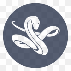 Digimind Marketplace Hootsuite - Logo Tiktok Png Gris