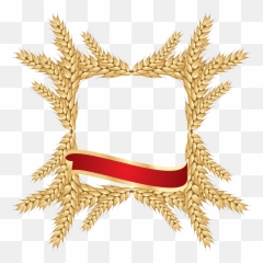 Pin By Charudeal Transparent PNG