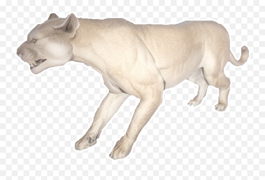 Mountain Lion - Cattle Png,Mountain Lion Png