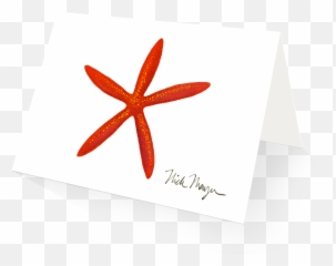 Red Linckia Starfish - Construction Paper Png,Starfish Transparent