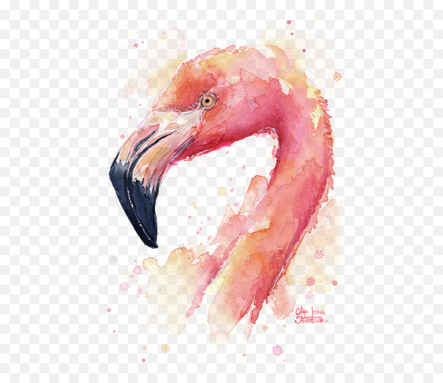 Tropical Birds Watercolor