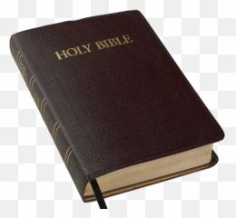 The Bible Project - Bible Transparent Backrgound Png,Book Of Jonah Icon