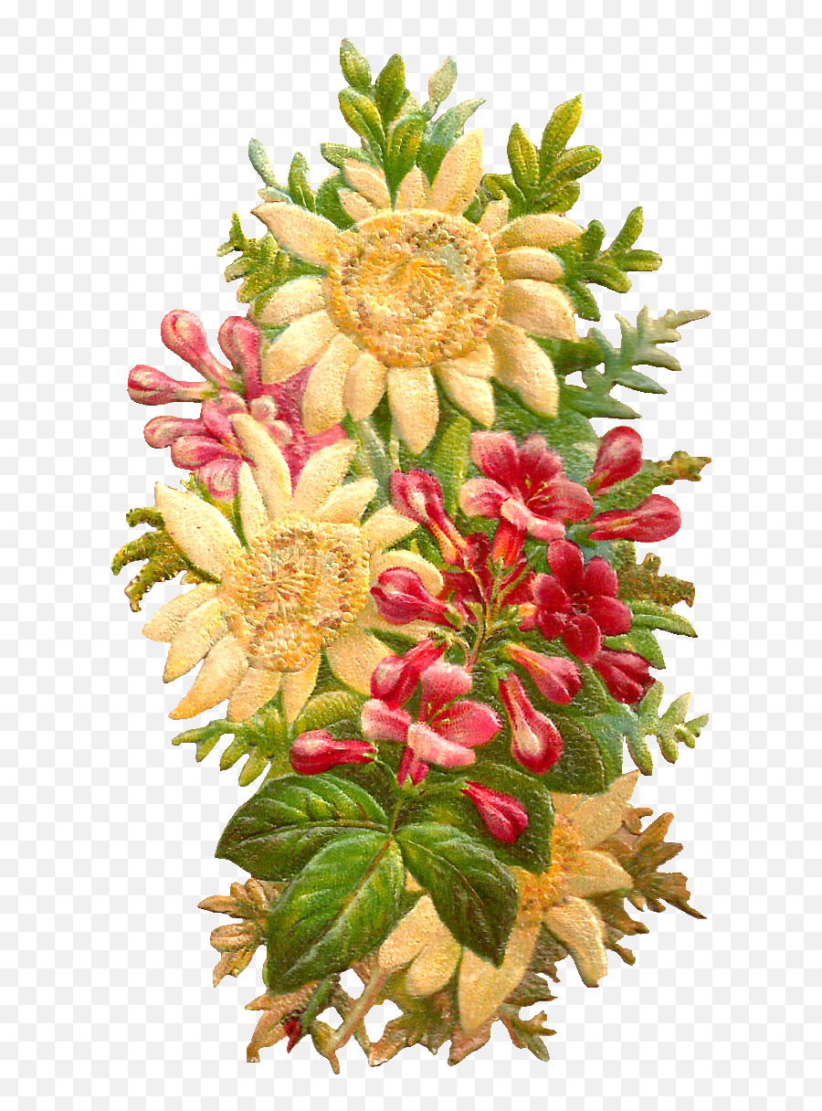 Flower Graphic Png - This Is An Amazingly Pretty Digital Protea Family,Wildflower Png