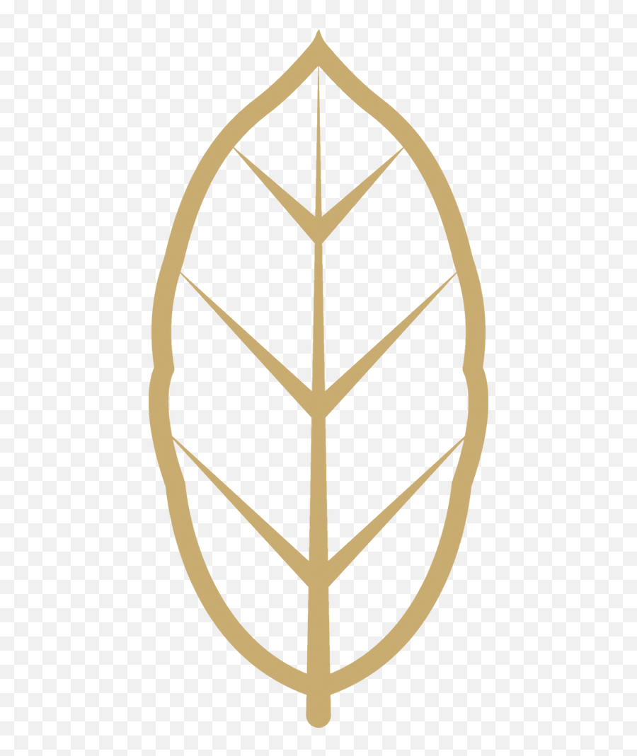 Our Company U2013 Royal Leaf Png Olive Icon
