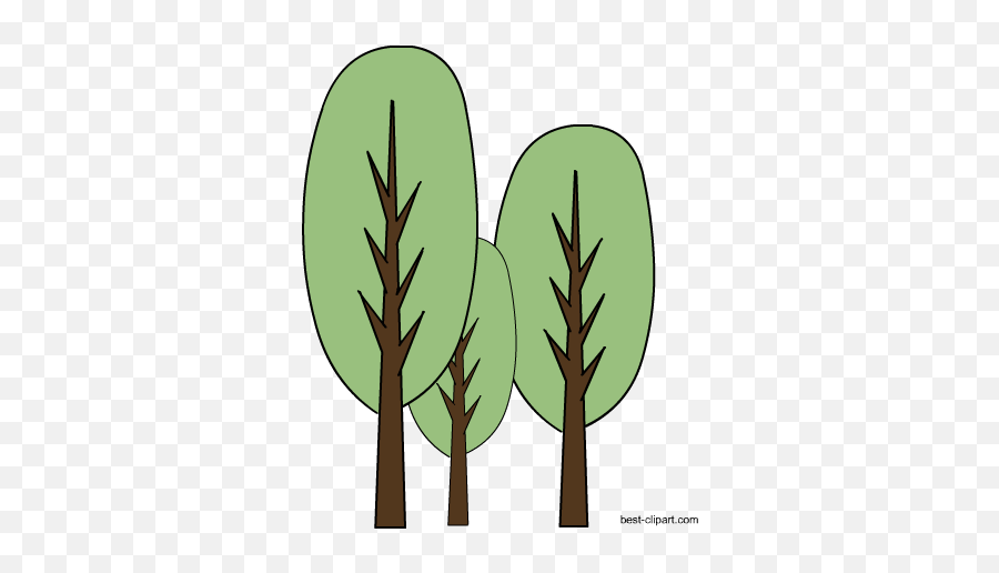 Free Tree Clip Art Images In Png Format - Pine Family,Tall Tree Png