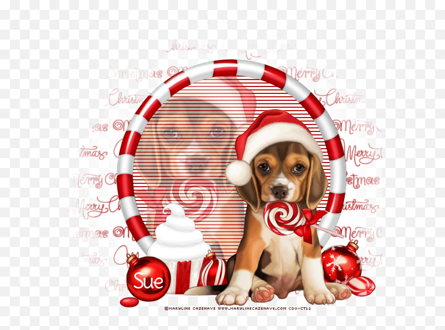 Download Photo Merry Christmas Png Beagle
