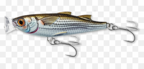Mullet Popper - Live Target Mullet Popper Png,Mullet Png