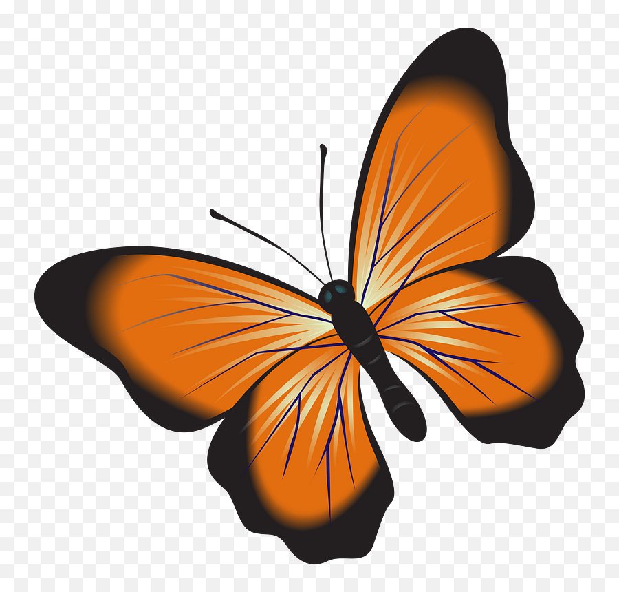 Beautiful Butterfly Png - Butterfly Clipart Transparent Background,Butterfly Png Clipart