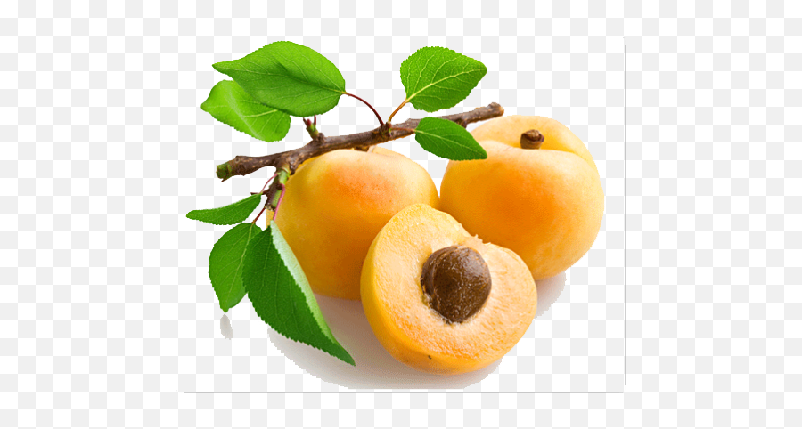 Apricot Open Png Image Arts - Peach Kernel Carrier Oil,Fruit Tree Png