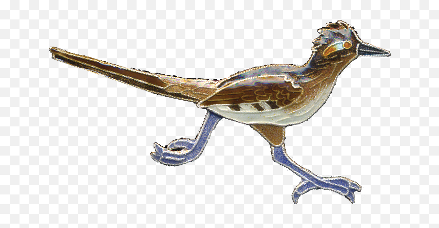 Road Runner Bird Transparent Png - Transparent Roadrunner,Road Runner Png