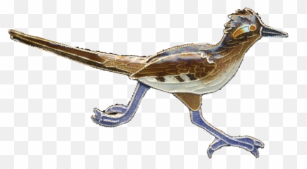 Road Runner Bird Transparent Png - Transparent Roadrunner,Road Runner Png