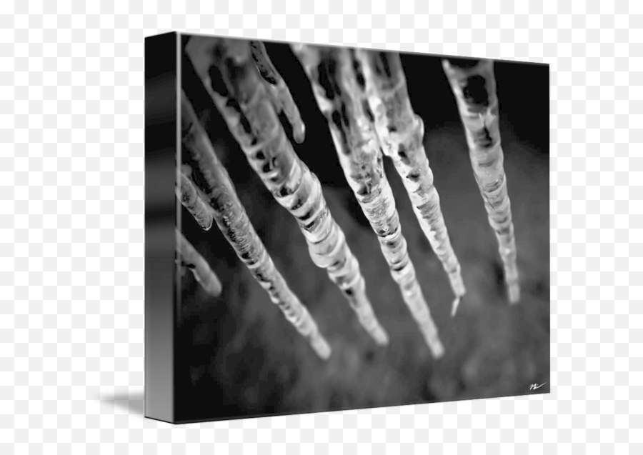 Winter Icicles By Nick Caldwell - Monochrome Png,Icicles Transparent