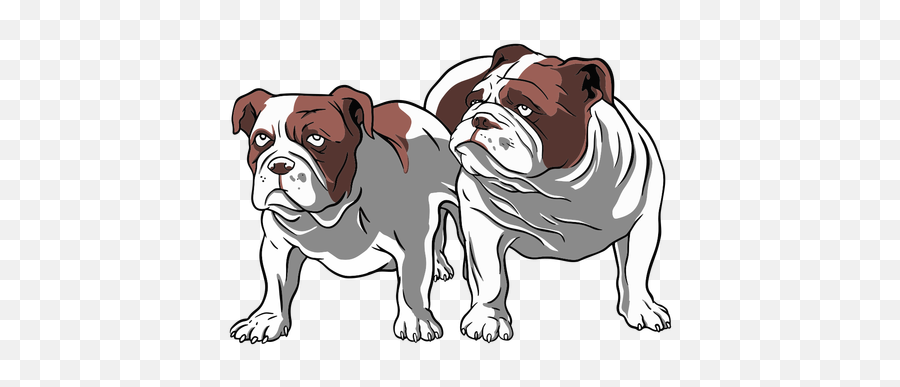 Transparent Png Svg Vector File - Olde English Bulldogge,Bulldog Png
