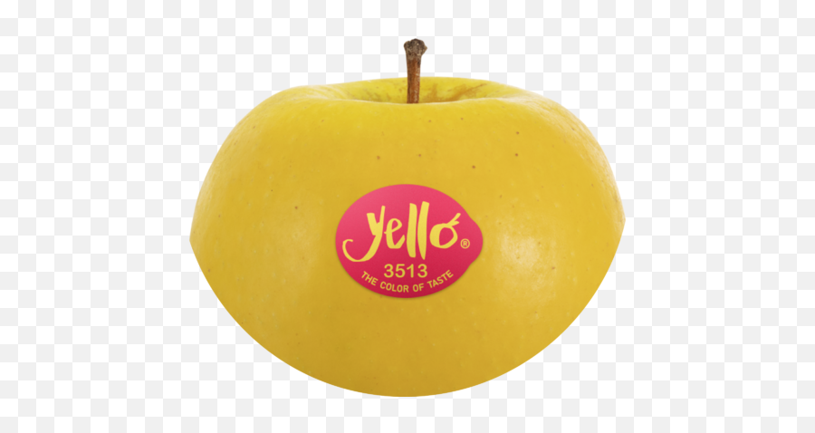 Shinano Gold Yello - Granny Smith Png,Gold Apple Logo
