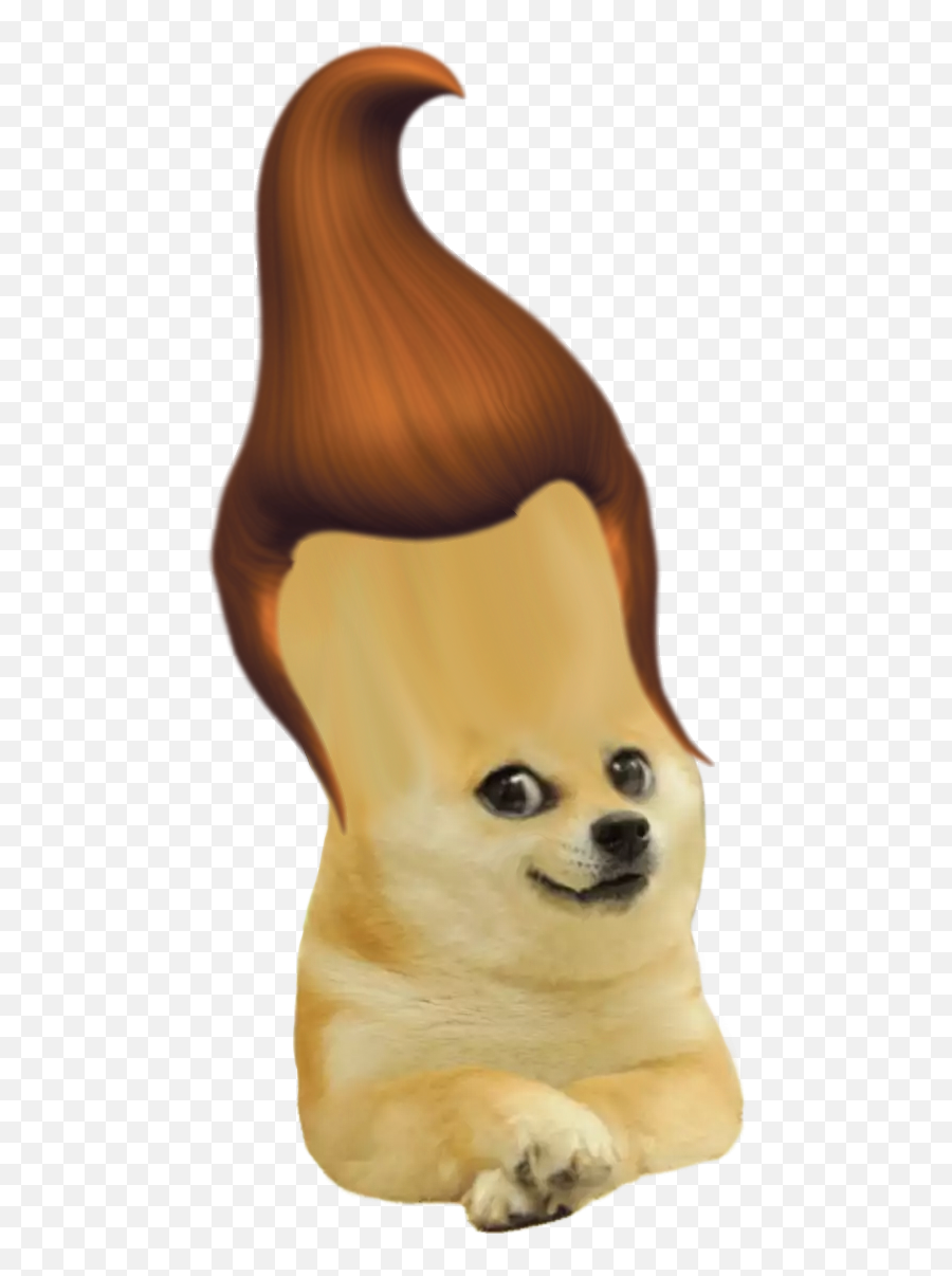Boy Genius Png - Child Doge With Hat,Doge Png