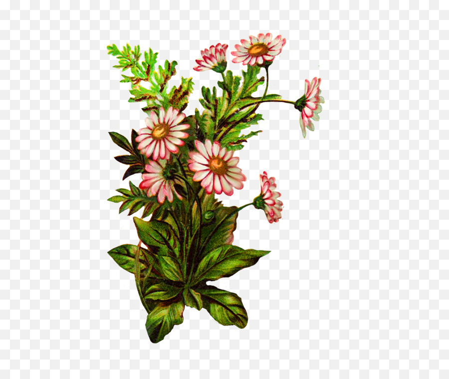 Digital Scrapbooking Flowers - Clip Art Png,Flower Transparent Background
