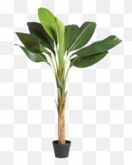 Faux Single Stalk Banana Tree - Houseplant Png,Banana Tree Png