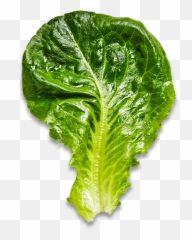 Baby Romaine - Bowery Farming Superfood Png,Romaine Lettuce Png