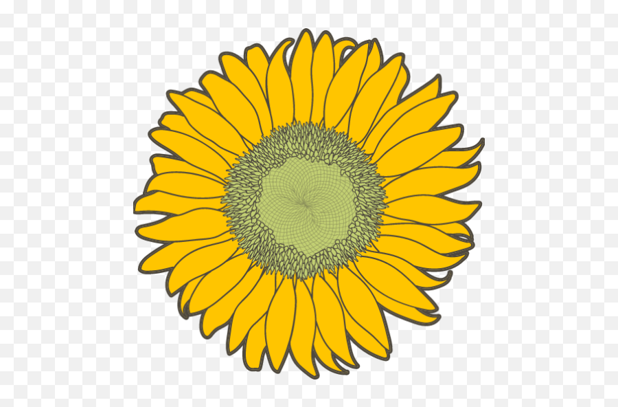 Cropped - Faviconpng U2013 Girasol Fresh,Girasol Png