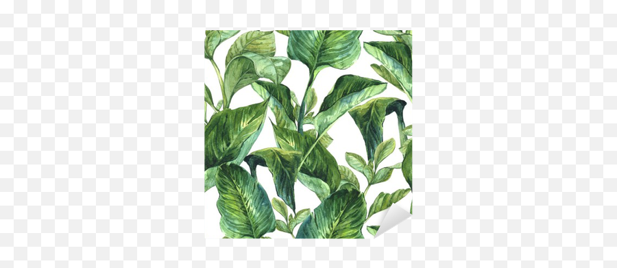 Watercolor With Tropical Leaves Sticker U2022 Pixers - We Live To Change Transparent Background Transparent Throw Pillow Png,Tropical Leaves Png